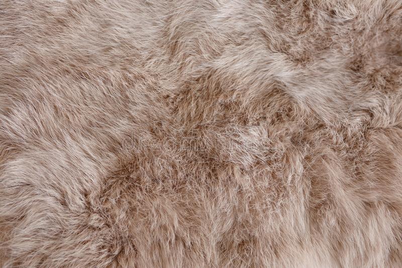 Natural Tanned Leather Fur Hide (10" by 12" Pelt with Sewing Quality Leather) - Walletsnbags